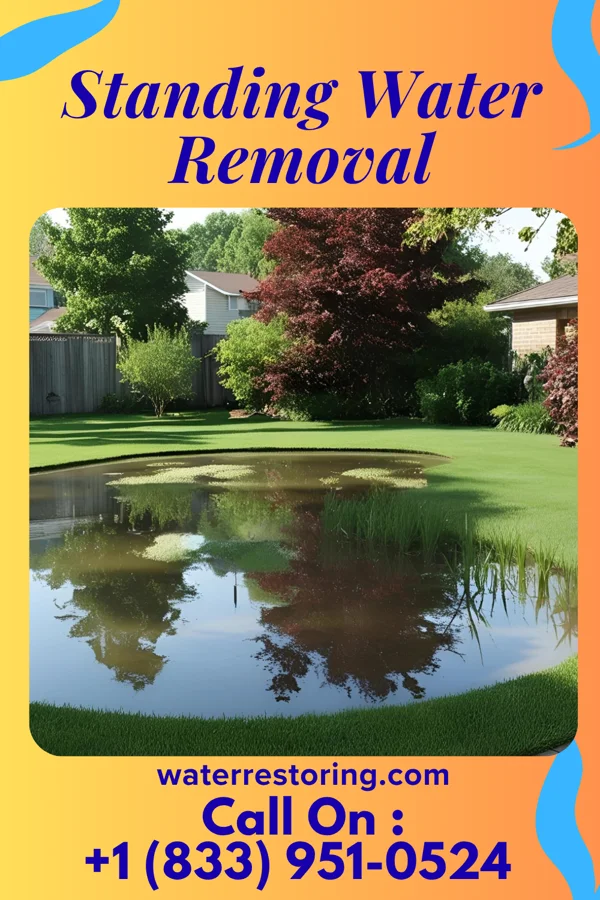 Standing Water Removal in Fairfield, KY